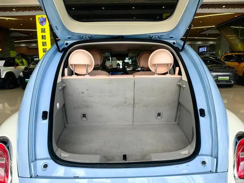 Euler Ballet Cat 2022 500km Sleeping Beauty Edition — миниатюра 9