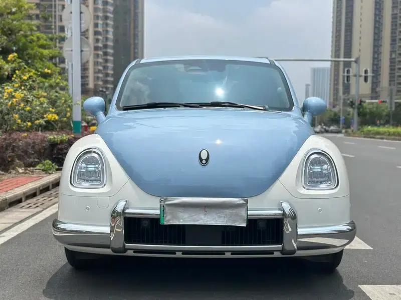 Euler Ballet Cat 2023 Model 401km Premium Edition — миниатюра 2