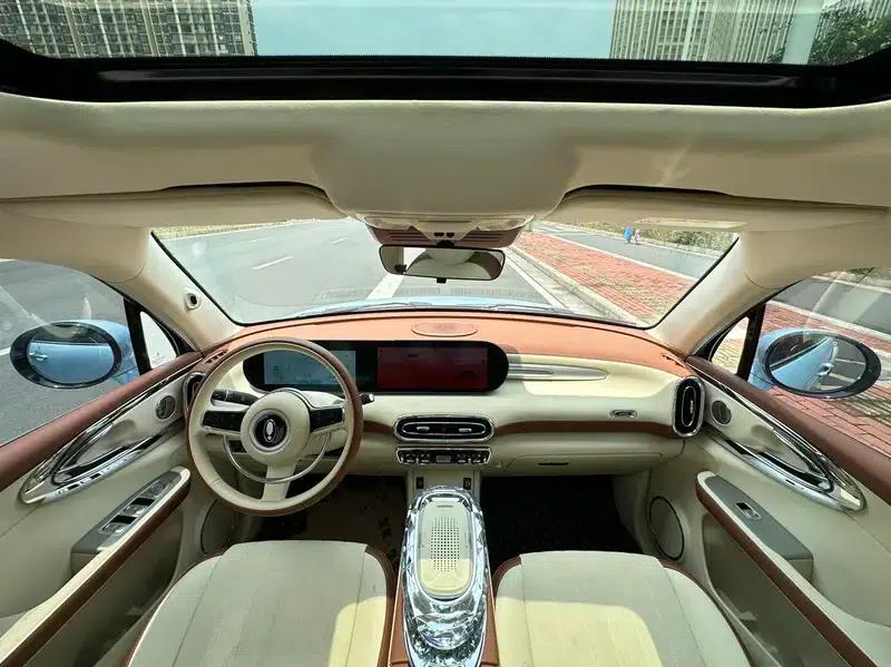 Euler Ballet Cat 2023 Model 401km Premium Edition — миниатюра 14