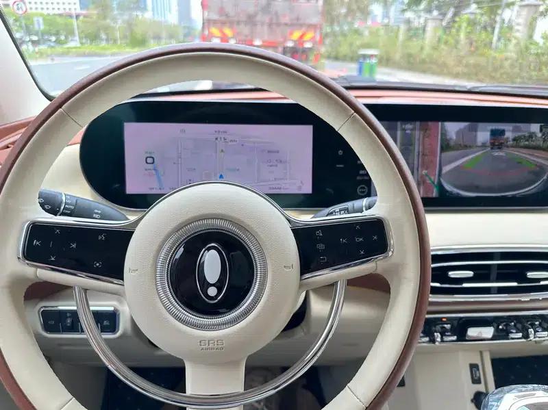 Euler Ballet Cat 2023 Model 401km Premium Edition — миниатюра 15