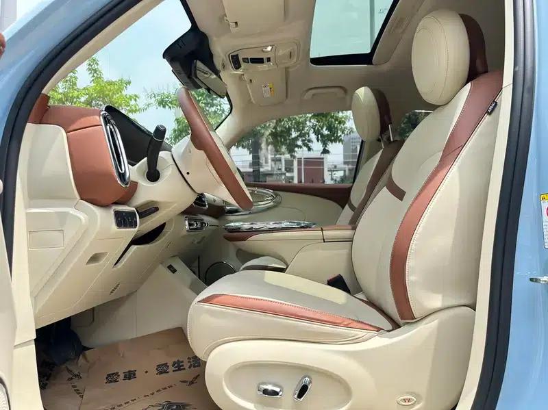 Euler Ballet Cat 2023 Model 401km Premium Edition — миниатюра 16