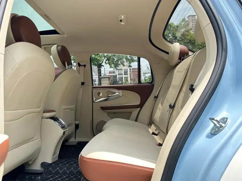 Euler Ballet Cat 2023 Model 401km Premium Edition — миниатюра 17