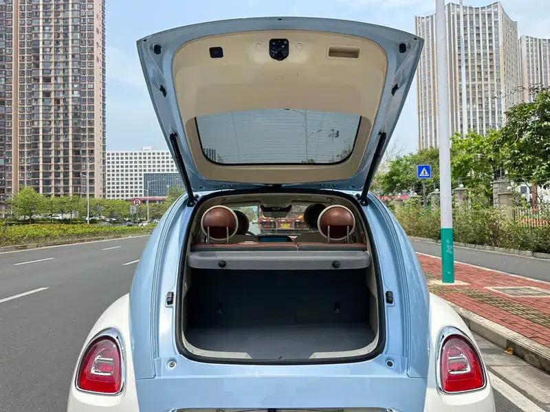 Euler Ballet Cat 2023 Model 401km Premium Edition — миниатюра 18