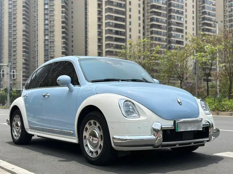 Euler Ballet Cat 2023 Model 401km Premium Edition — миниатюра 3