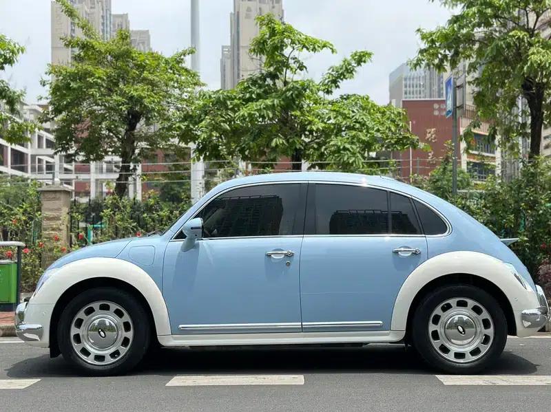 Euler Ballet Cat 2023 Model 401km Premium Edition — миниатюра 4