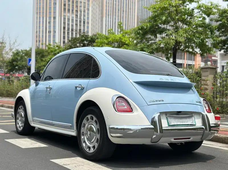 Euler Ballet Cat 2023 Model 401km Premium Edition — миниатюра 5