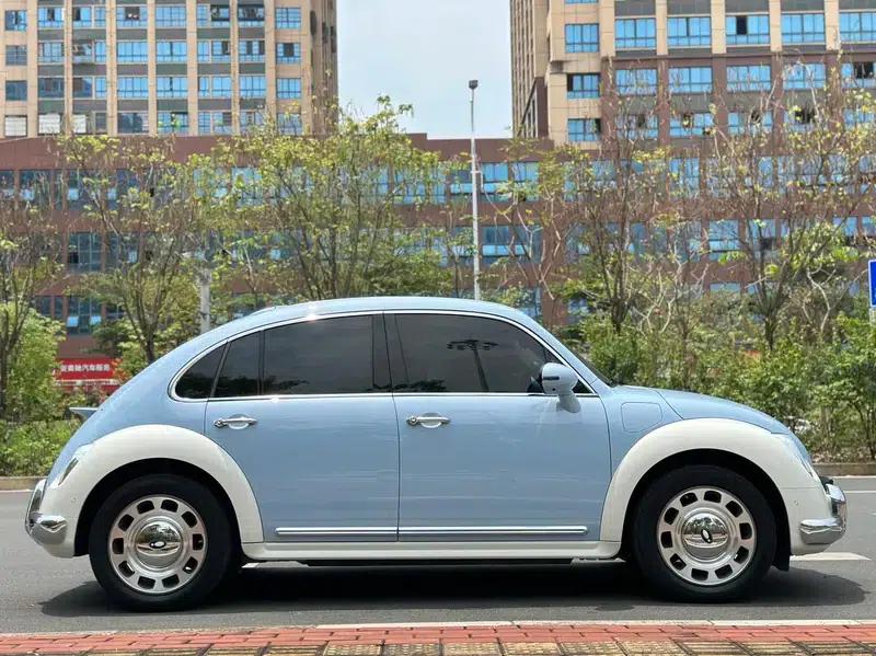 Euler Ballet Cat 2023 Model 401km Premium Edition — миниатюра 8