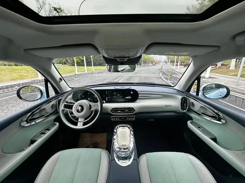 Euler Ballet Cat 2023 Model 401km Premium Edition — миниатюра 11