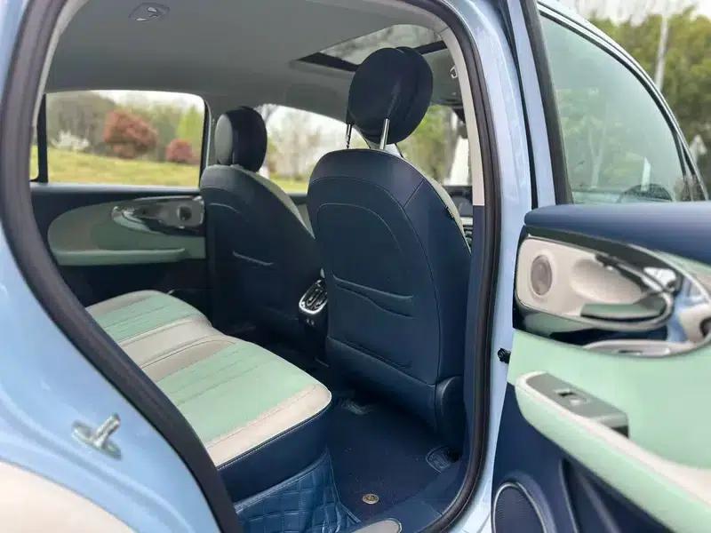 Euler Ballet Cat 2023 Model 401km Premium Edition — миниатюра 15