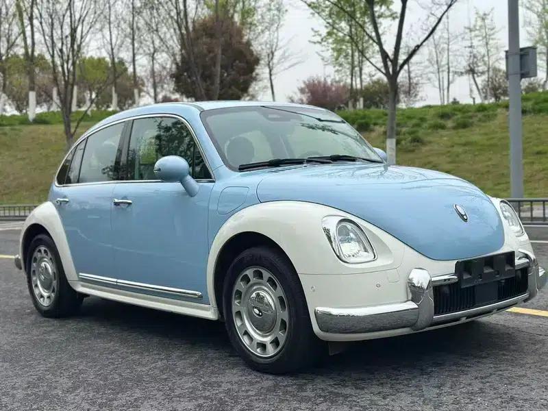 Euler Ballet Cat 2023 Model 401km Premium Edition — миниатюра 3