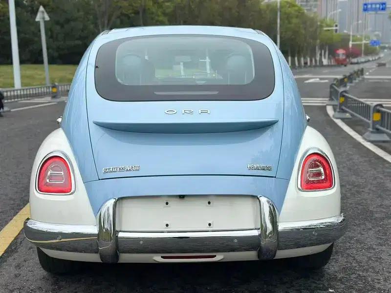 Euler Ballet Cat 2023 Model 401km Premium Edition — миниатюра 5