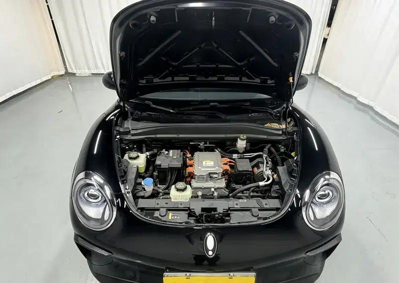 ORA Good Cat GT 2023 Magnolia Edition 401km Luxury Model — миниатюра 10