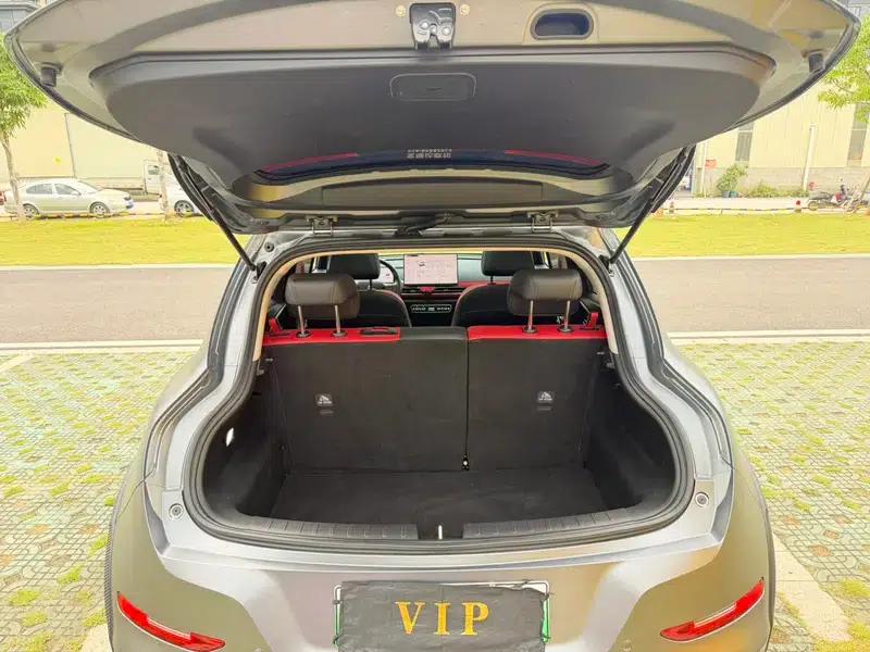 ORA Good Cat GT 2025 Magnolia Edition 430km Luxury Model — миниатюра 23