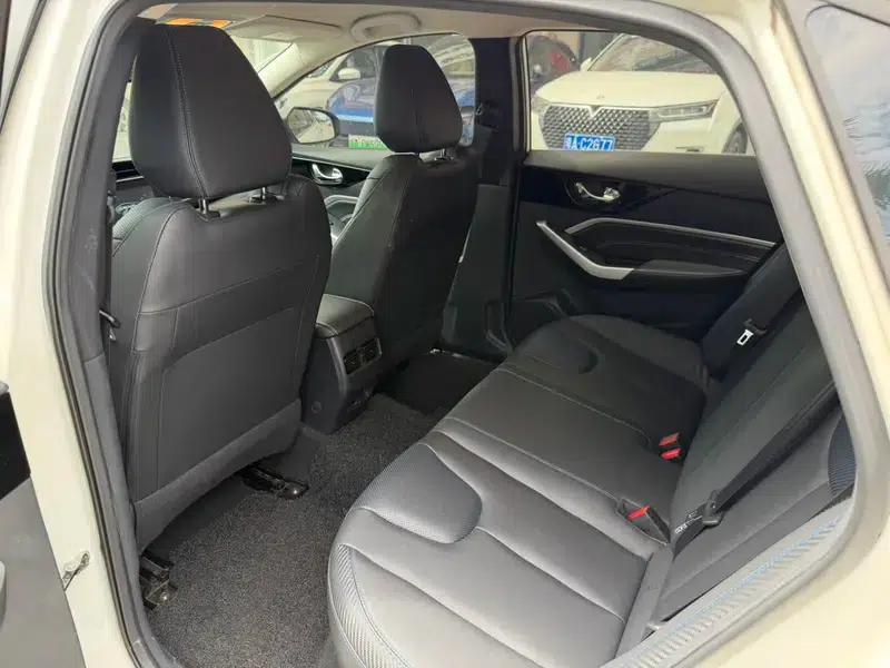 Venucia D60 EV 2022 PLUS SI+ Comfort Edition — миниатюра 11