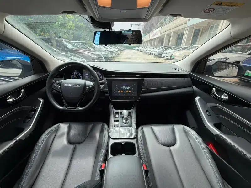 Venucia D60 EV 2022 PLUS SI+ Comfort Edition — миниатюра 8