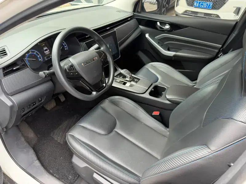 Venucia D60 EV 2022 PLUS SI+ Comfort Edition — миниатюра 10