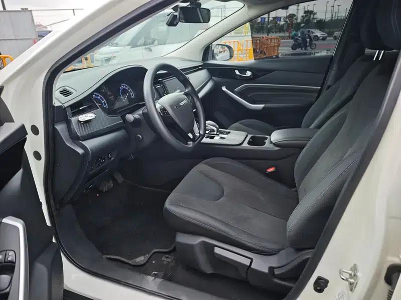 Venucia D60 EV 2022 PLUS RJ Comfort Edition — миниатюра 12