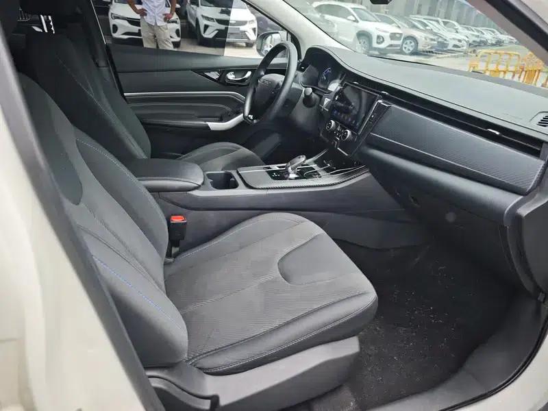 Venucia D60 EV 2022 PLUS RJ Comfort Edition — миниатюра 9