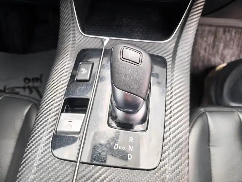 Venucia D60 EV 2022 PLUS SI Comfort Edition — миниатюра 11