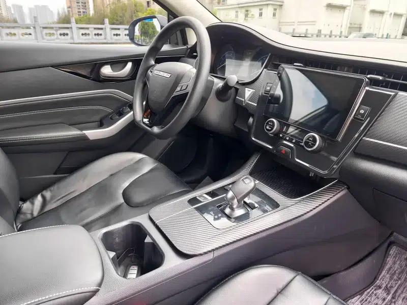 Venucia D60 EV 2022 PLUS SI Comfort Edition — миниатюра 13