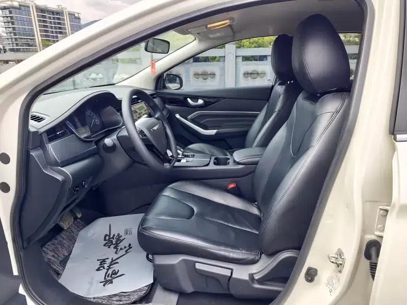 Venucia D60 EV 2022 PLUS SI Comfort Edition — миниатюра 18
