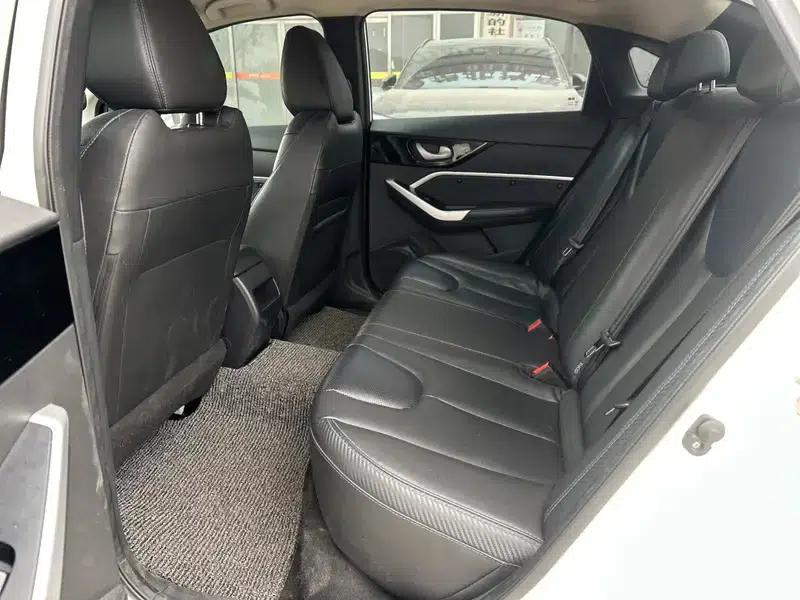 Venucia D60 EV 2022 Standard Range Comfort Edition — миниатюра 9