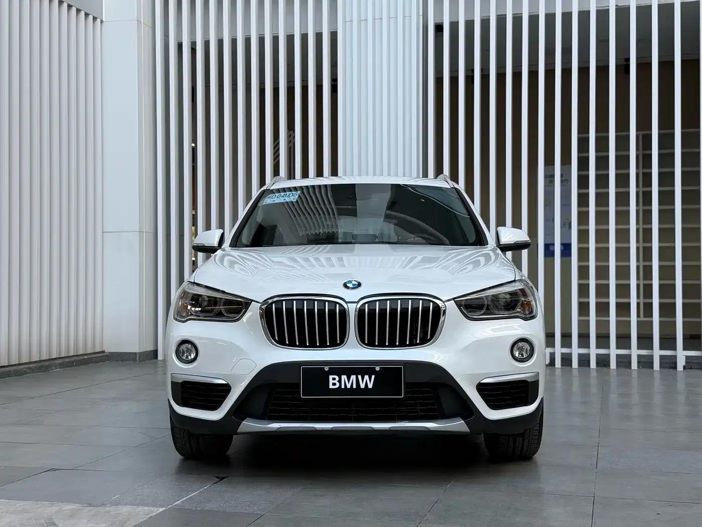 BMW X1 2018 xDrive20Li Premium — миниатюра 2