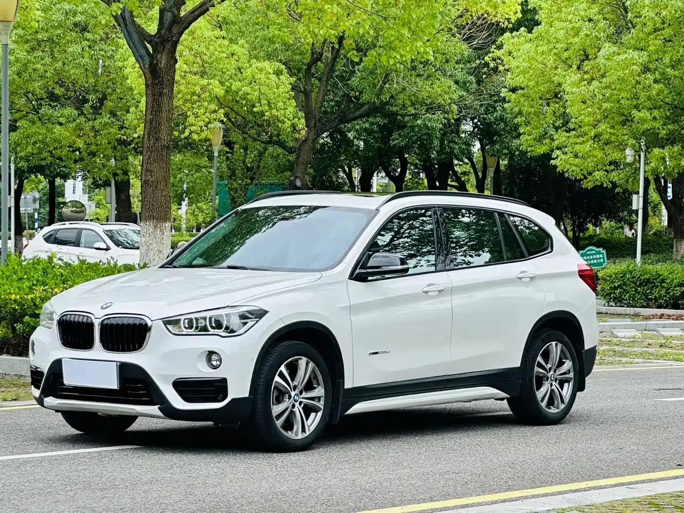 BMW X1 2016 sDrive20Li Luxury — миниатюра 1