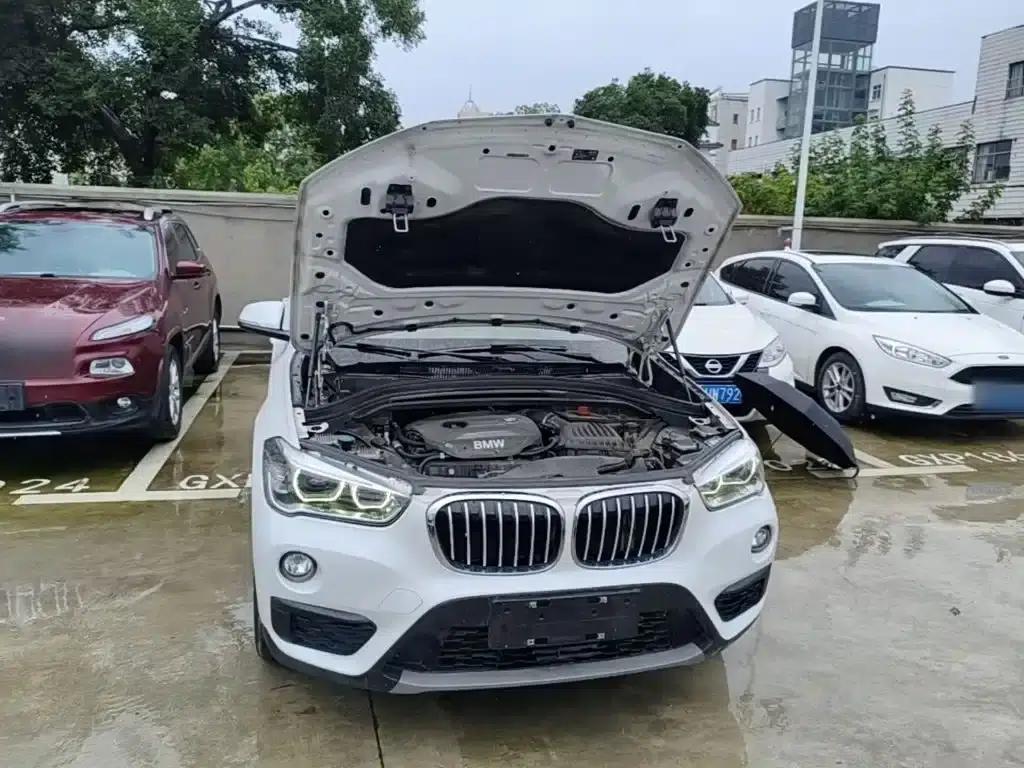 BMW X1 2019 sDrive20Li Leading Edition — миниатюра 20