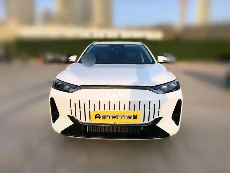 Fengyun T10 2024 Model 210 Luxury Edition — миниатюра 2