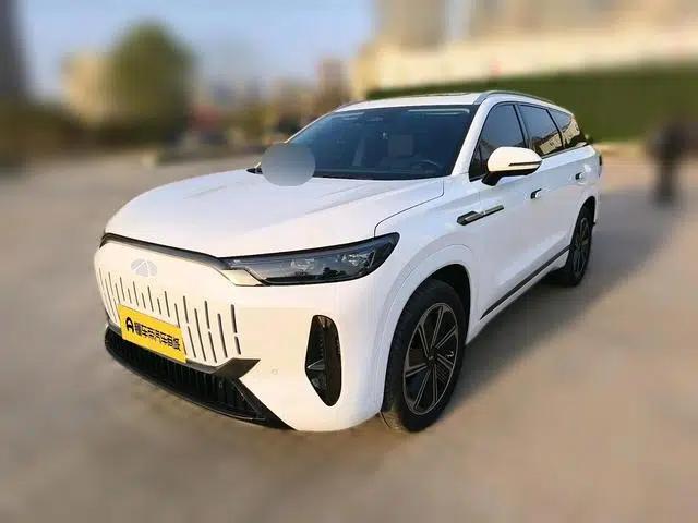 Fengyun T10 2024 Model 210 Luxury Edition