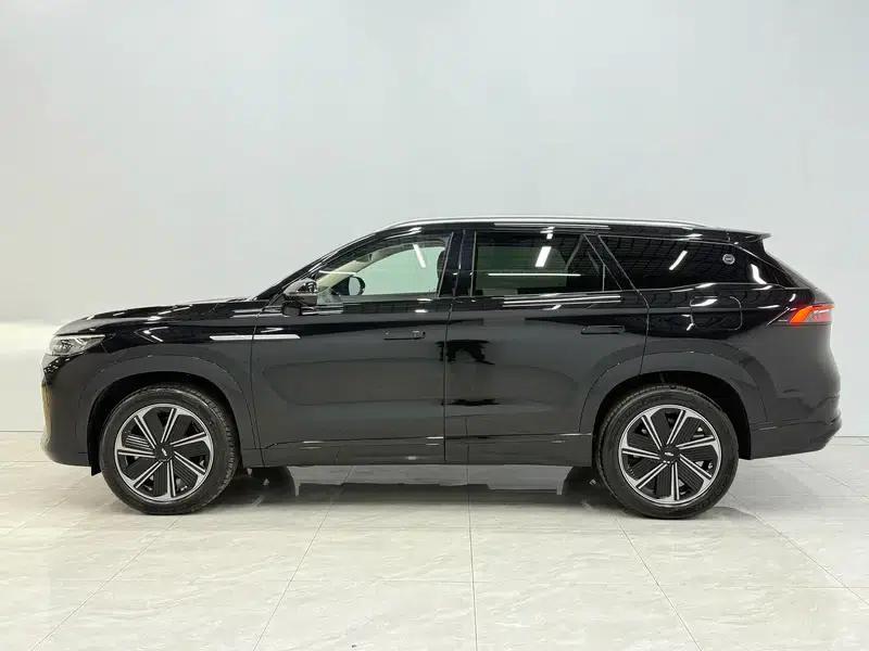 Fengyun T10 2024 Model 210 Luxury Edition — миниатюра 4