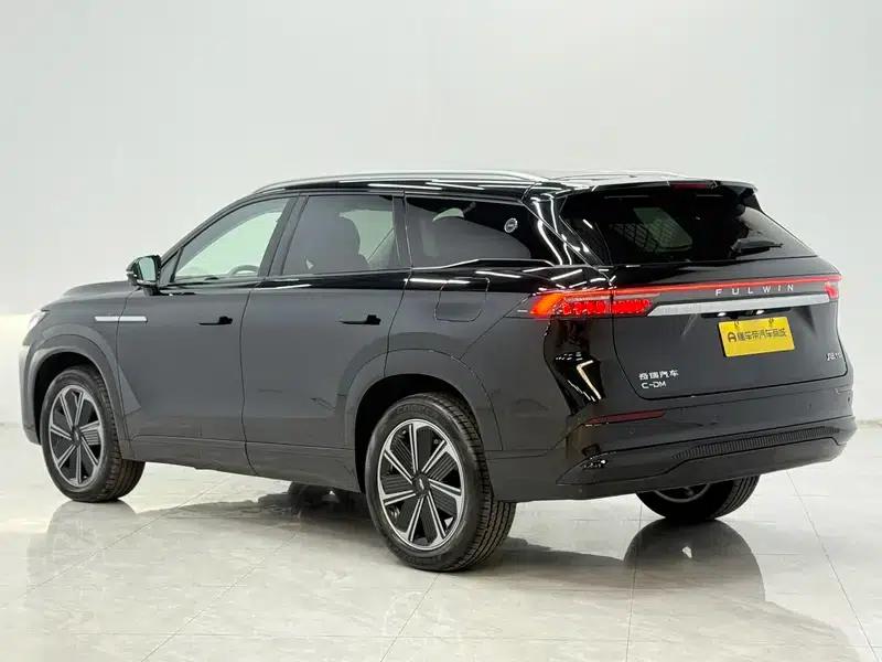 Fengyun T10 2024 Model 210 Luxury Edition — миниатюра 5