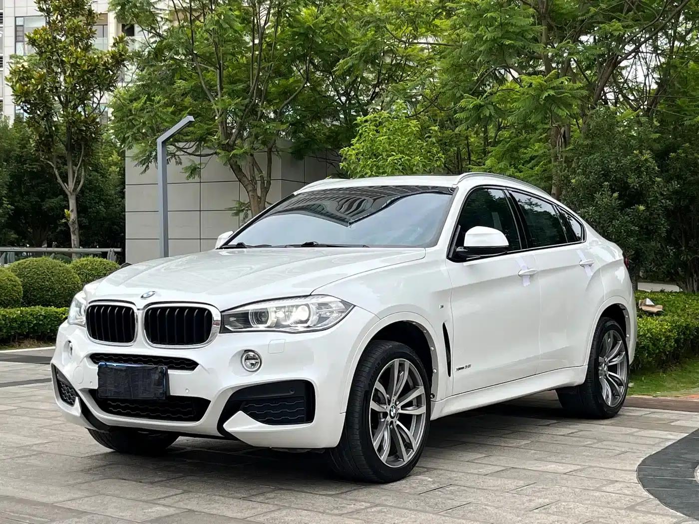 BMW X6 2018 xDrive35i Leading Edition — миниатюра 1