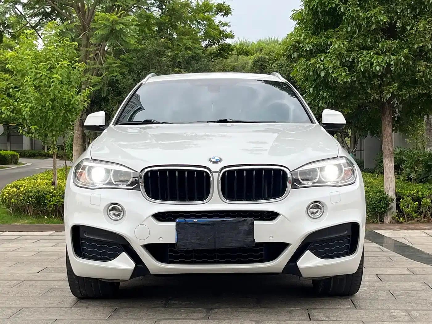 BMW X6 2018 xDrive35i Leading Edition — миниатюра 2