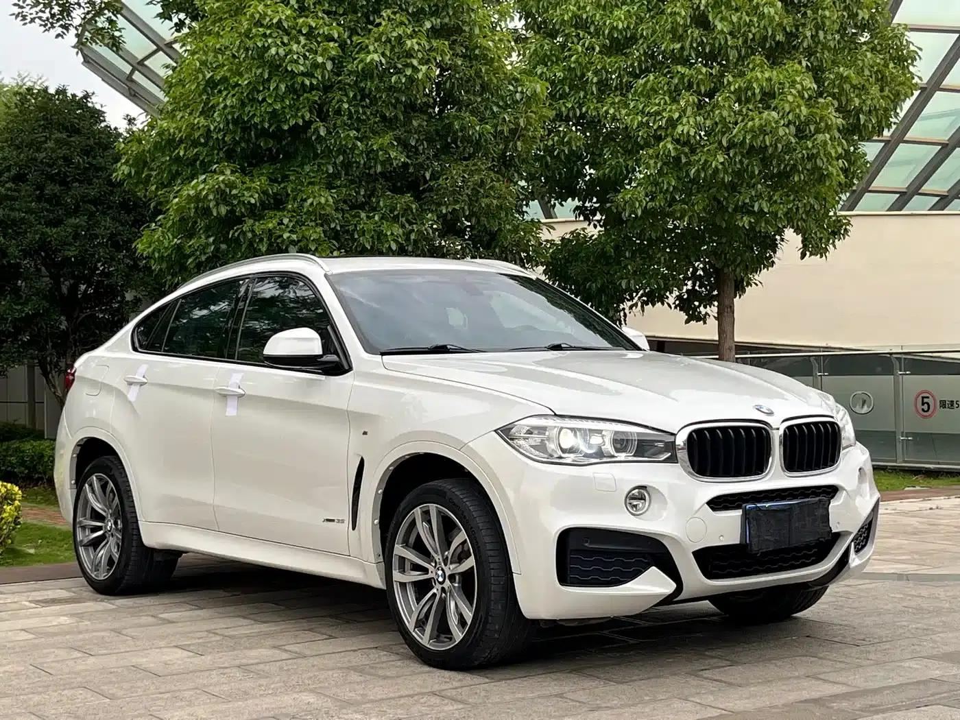 BMW X6 2018 xDrive35i Leading Edition — миниатюра 3