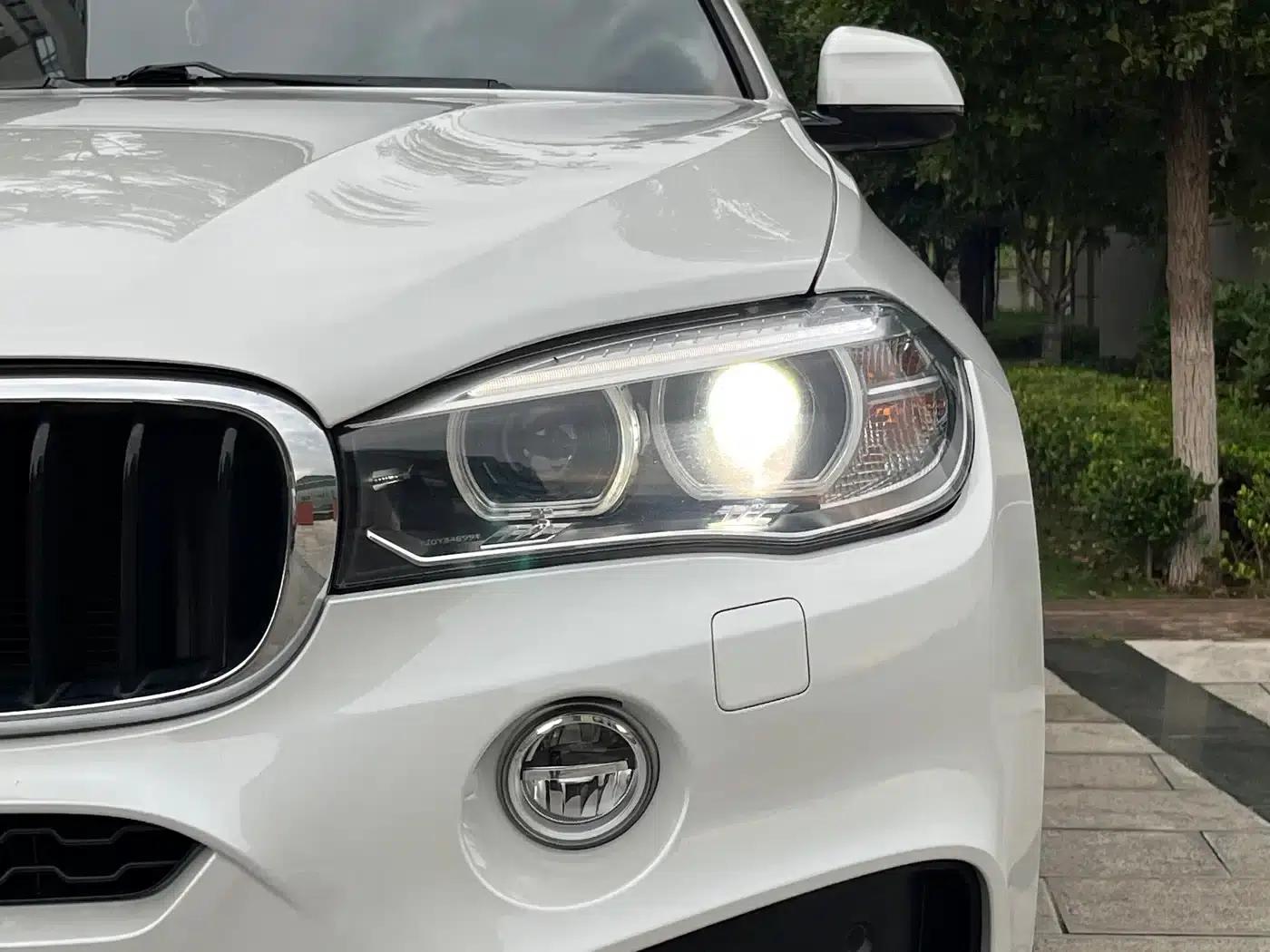 BMW X6 2018 xDrive35i Leading Edition — миниатюра 25