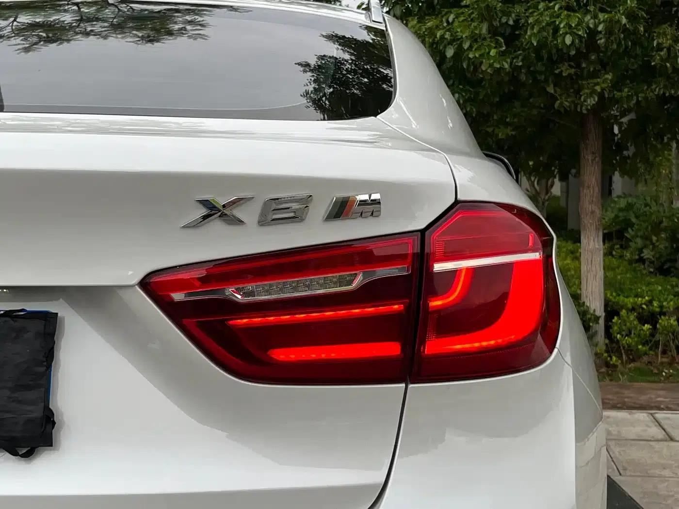 BMW X6 2018 xDrive35i Leading Edition — миниатюра 26