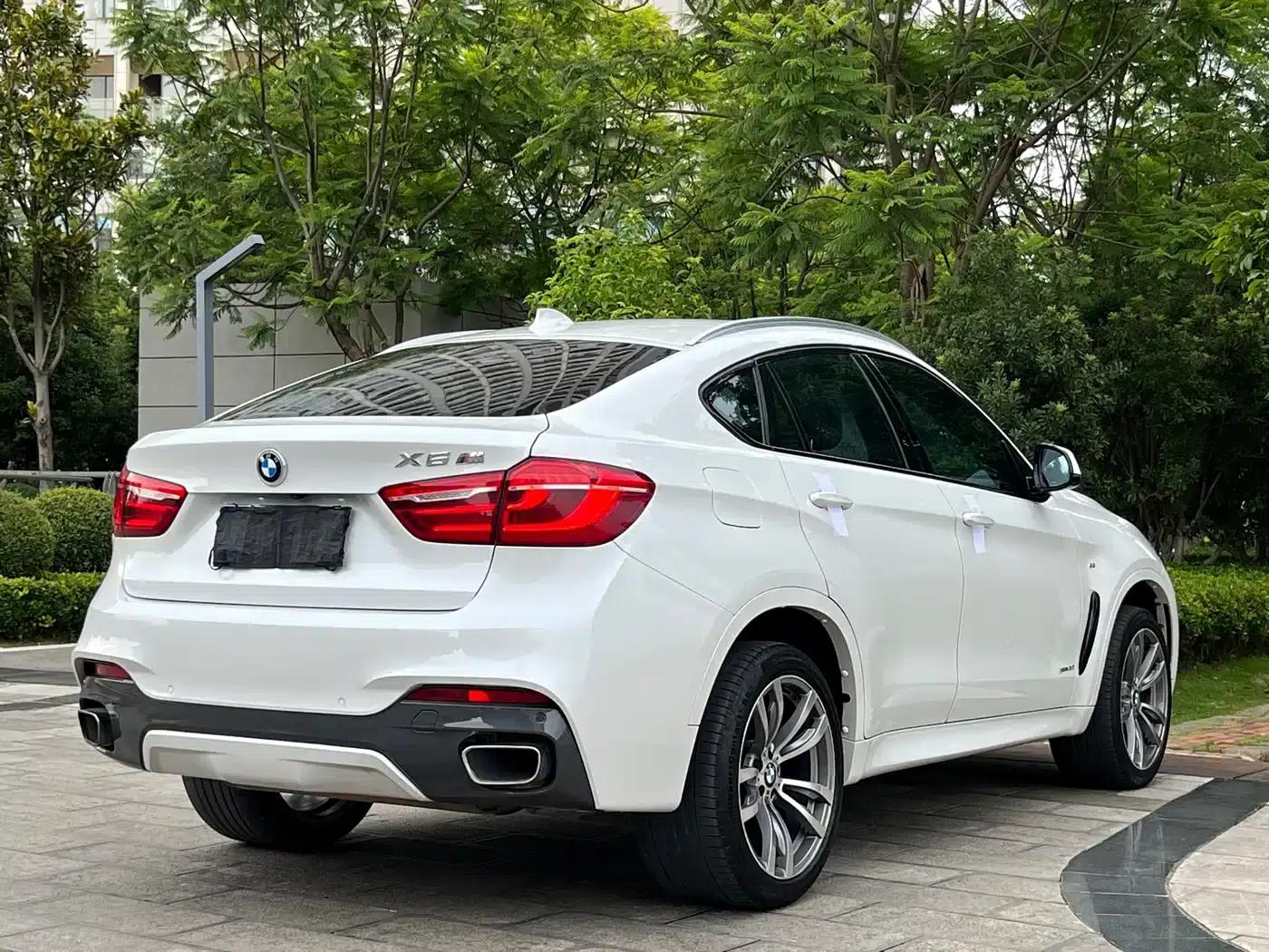 BMW X6 2018 xDrive35i Leading Edition — миниатюра 7