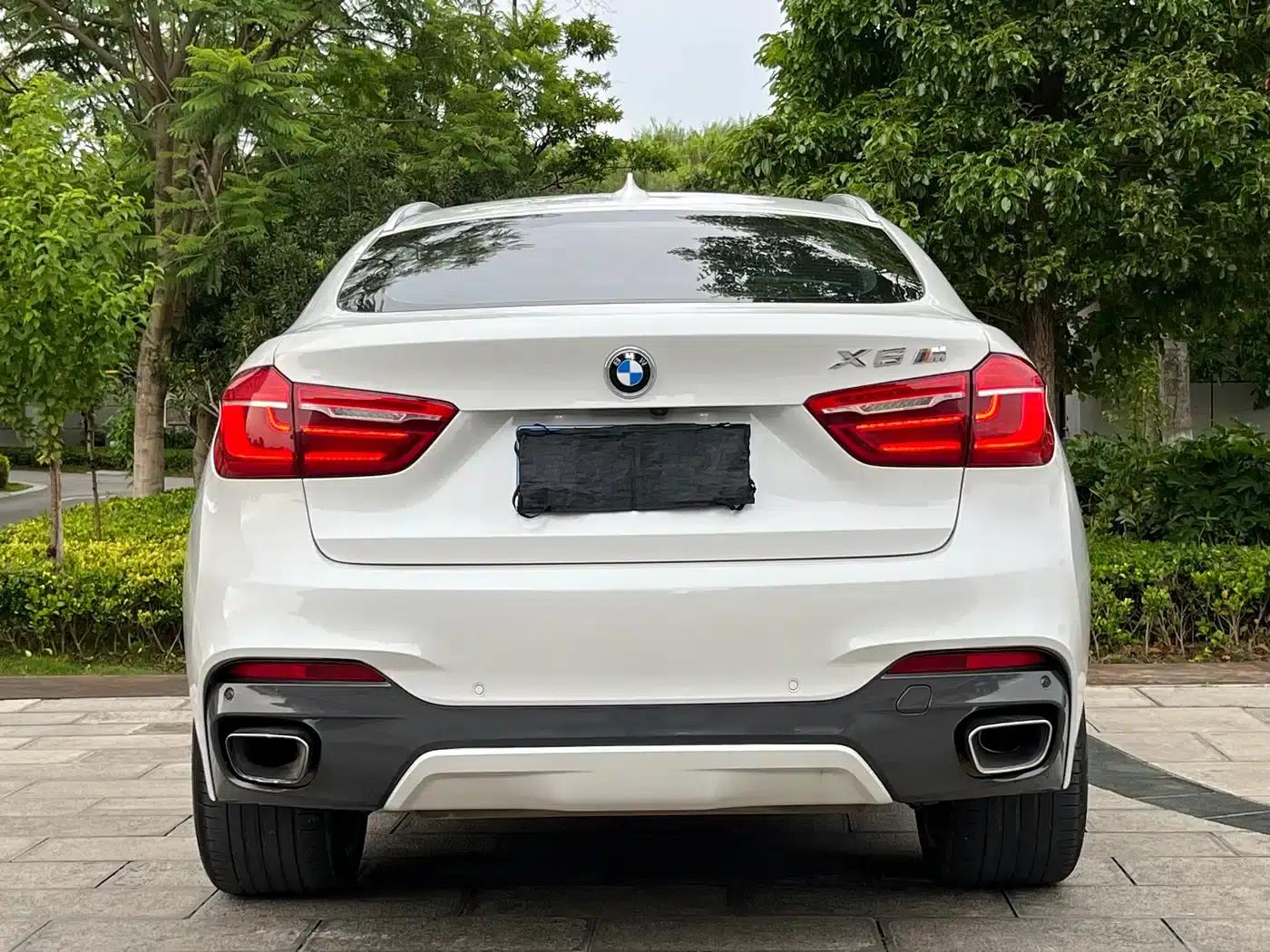 BMW X6 2018 xDrive35i Leading Edition — миниатюра 8