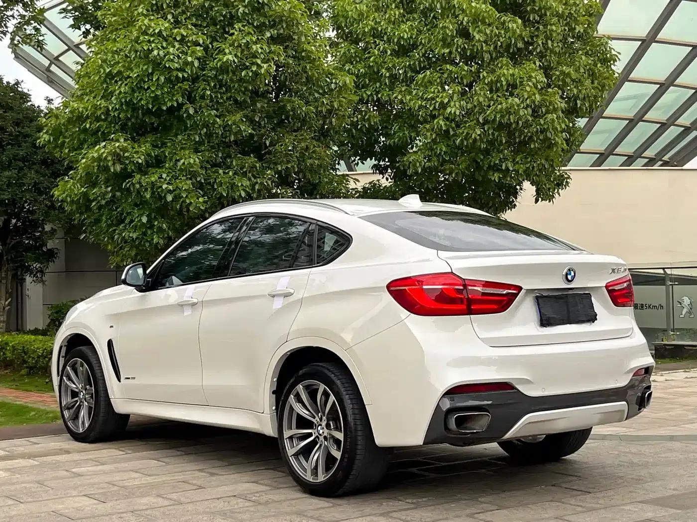 BMW X6 2018 xDrive35i Leading Edition — миниатюра 9