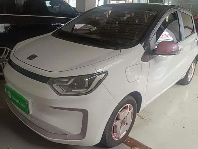 SOL E10X 2022 Flower Fairy Style Baby's Breath