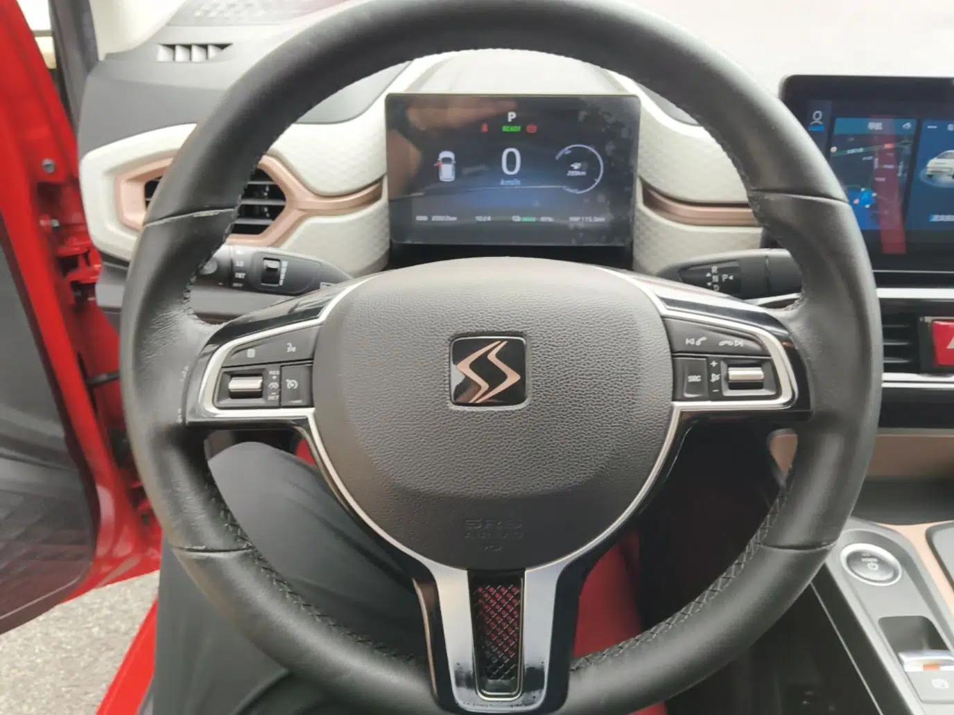 SOL E10X 2021 302 km Range Luxury Version 30.2 kWh — миниатюра 13