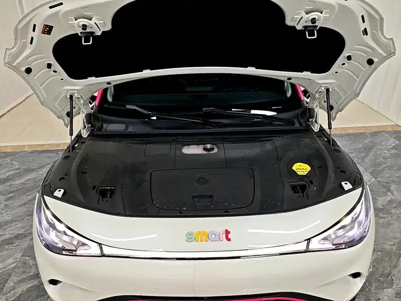 Smart Sprite #3 2024 Dynamic Standard Edition — миниатюра 10