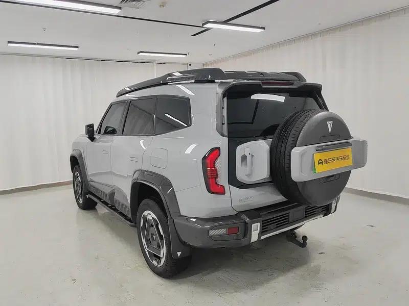 Deep Blue G318 2025 Worry-Free Crossing Edition 4WD Secret Realm Edition — миниатюра 5
