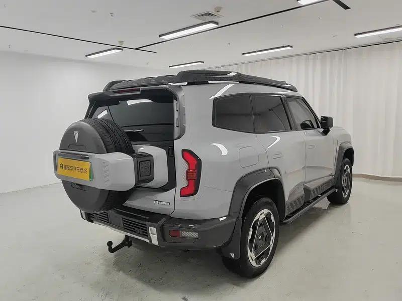 Deep Blue G318 2025 Worry-Free Crossing Edition 4WD Secret Realm Edition — миниатюра 7