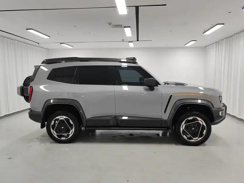 Deep Blue G318 2025 Worry-Free Crossing Edition 4WD Secret Realm Edition — миниатюра 8