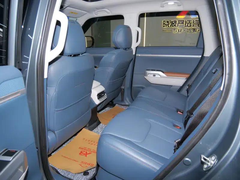 Dark Blue G318 2024 Model, Two-Wheel Drive, Air Suspension Version — миниатюра 14