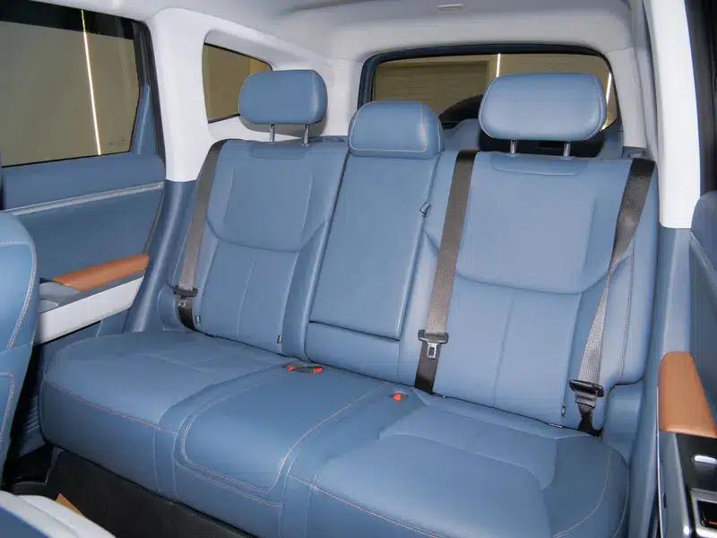 Dark Blue G318 2024 Model, Two-Wheel Drive, Air Suspension Version — миниатюра 15