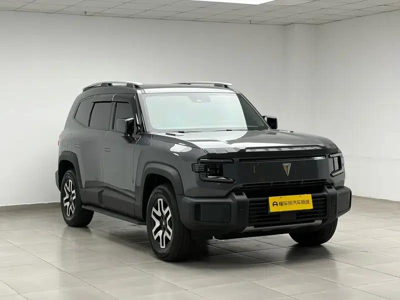 Deep Blue G318 2024 Two-Wheel Drive Comfort Edition — миниатюра 3